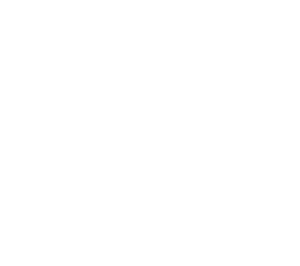 Official Realfit Logo