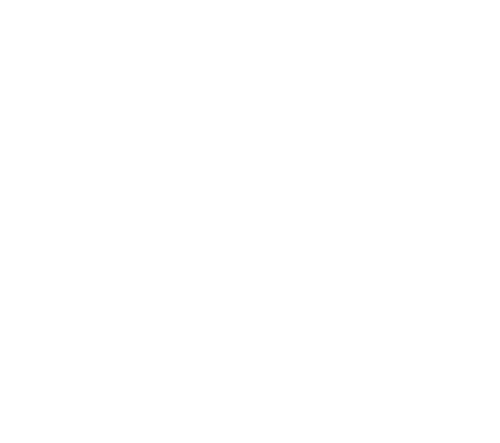 Official Realfit Logo